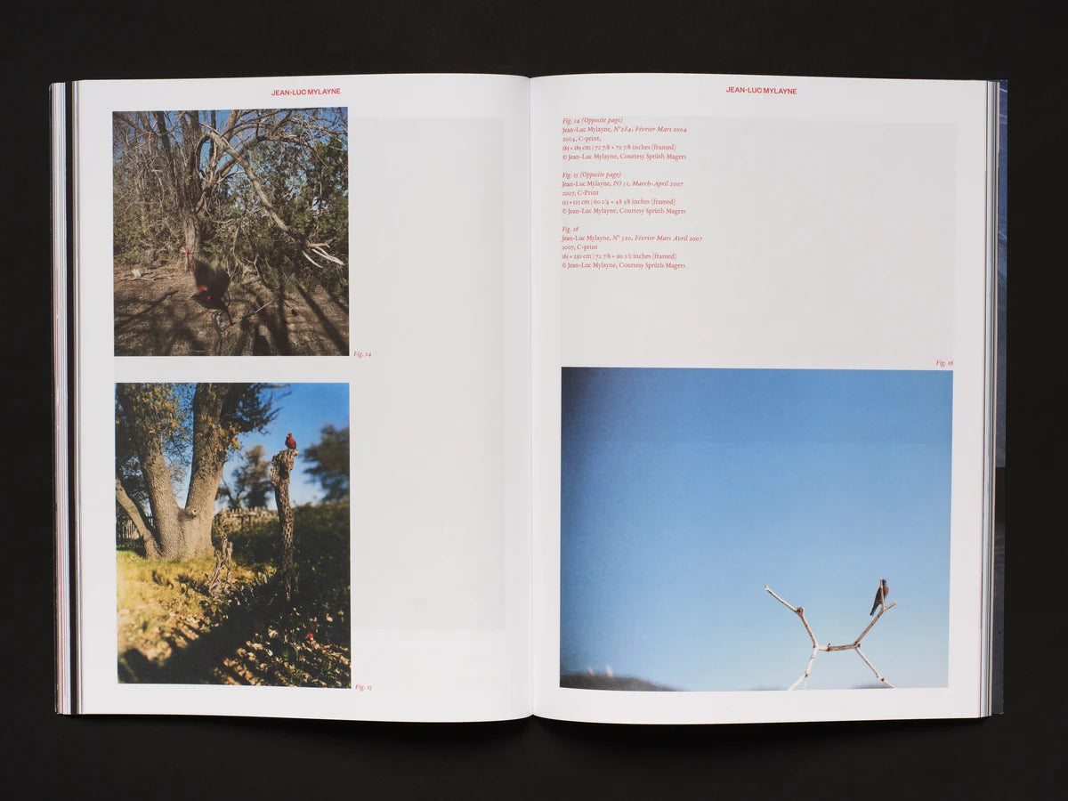 Amateurs - Issue 4