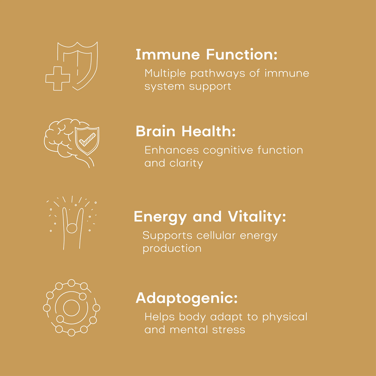 Prime Self - Shroom Elixir Capsules